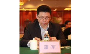 销售总监 蒲军