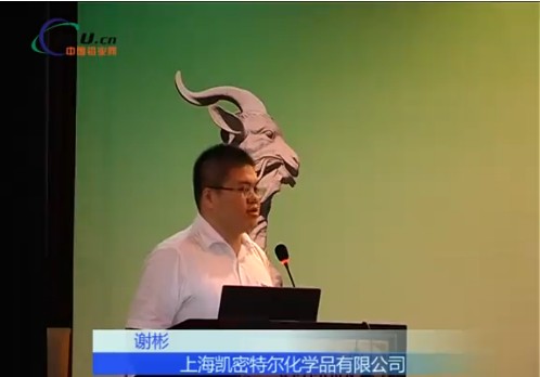  Lw2013演讲——上海凯密特尔化学品 谢彬