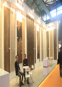 图片展示