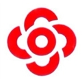中金铝业